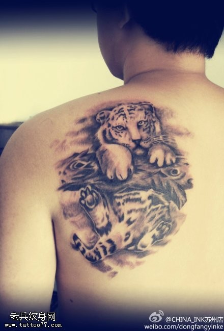 男人背部小老虎纹身图案