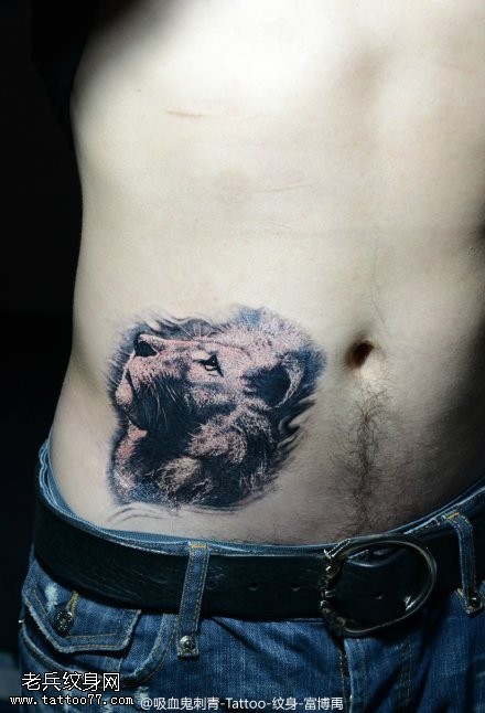 腹部小萌狮子纹身图案