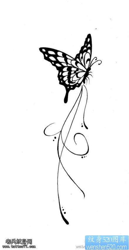 一组彩色蝴蝶纹身手稿图案