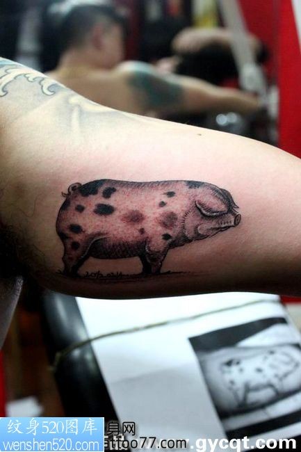 一款另类的手臂猪纹身图案