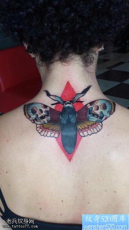 女性脖子彩色骷髅蛾子纹身图案
