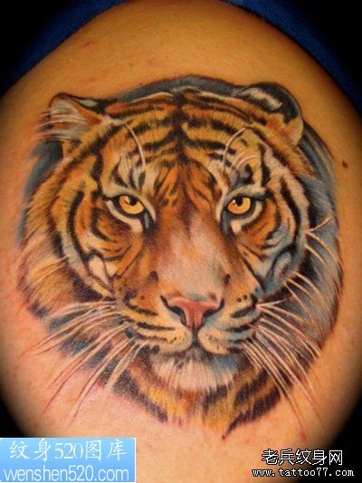 一张老虎头纹身图案分享