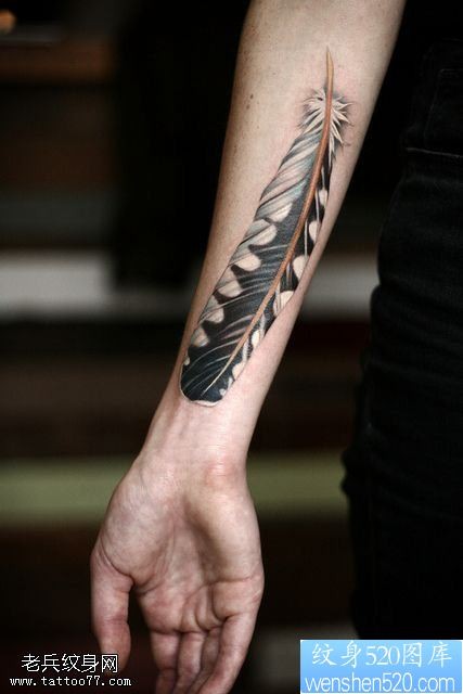 一款手臂个性羽毛纹身图案