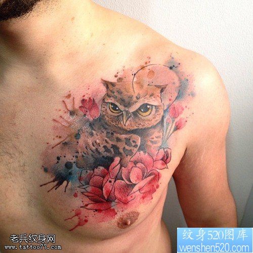 胸口彩色猫头鹰纹身图片