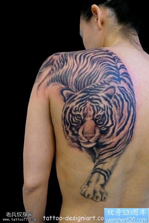 纹身推荐一款女性背部老虎纹身图案
