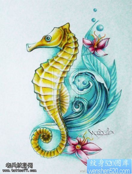 一款彩色海马纹身图片