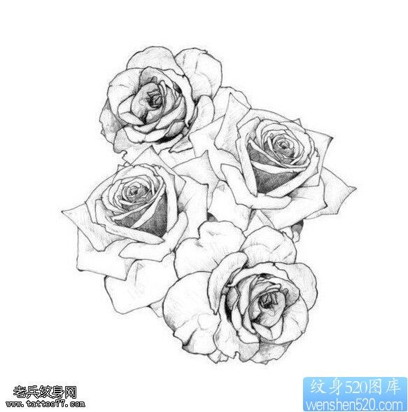 一款玫瑰花纹身手稿图案