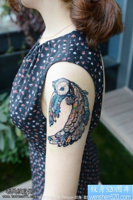 女性手臂彩色猫头鹰纹身图案