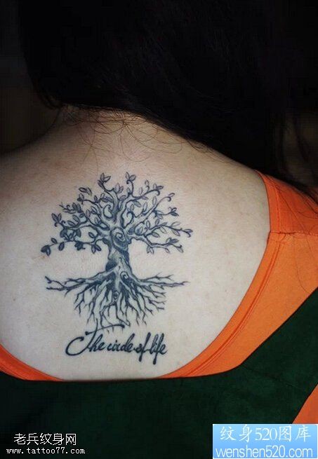 女性背部生命之树字母纹身图案