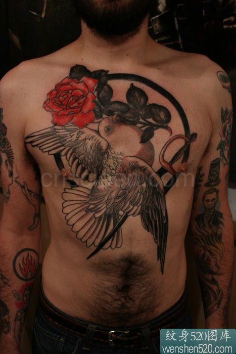 鸽子和玫瑰组合的胸部纹身