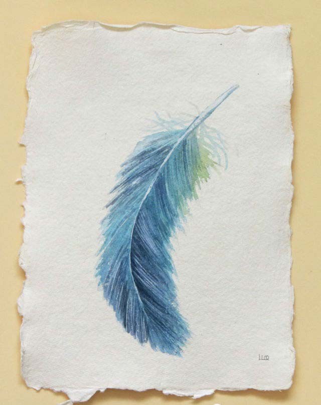 漂亮简单的彩色羽毛纹身手稿