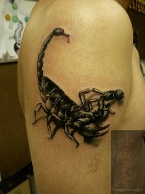 纹身艺术爱好者喜欢的蝎子纹身