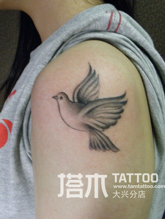手臂上漂亮的小鸽子纹身