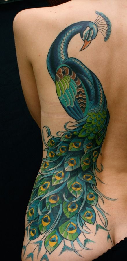 腰部漂亮的花孔雀纹身