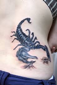一只蝎子“寄居”在腰部