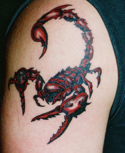 时尚帅气的蝎子纹身