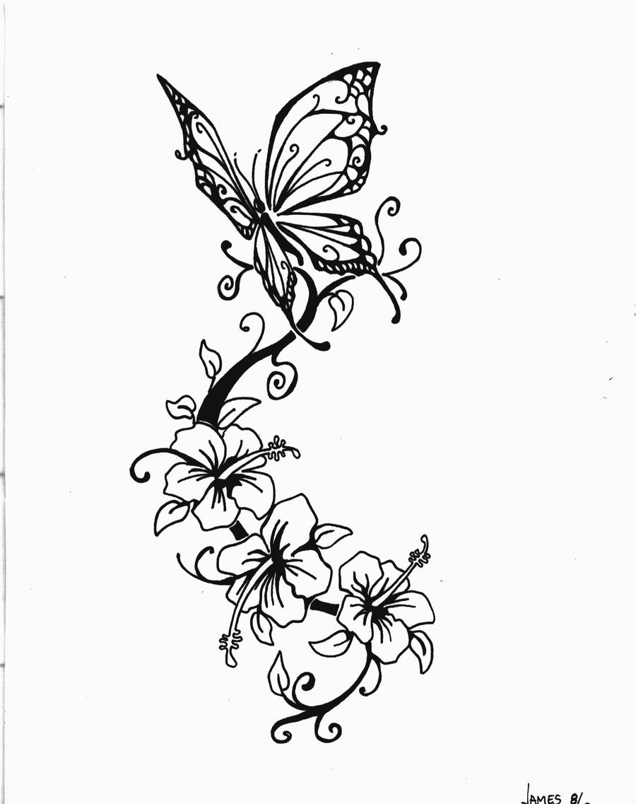 漂亮唯美的蝴蝶手稿
