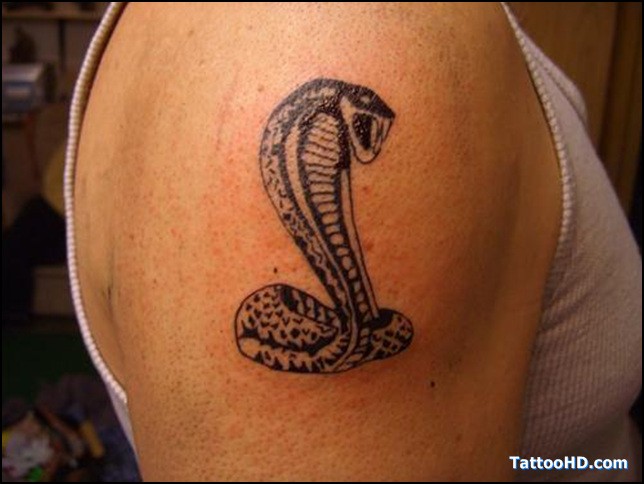 手臂上非常帅气的蛇纹身