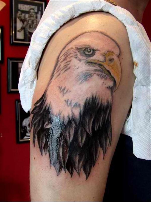 好看帅气的手臂老鹰头像纹身