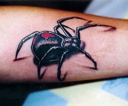 手臂上非常逼真的蜘蛛纹身