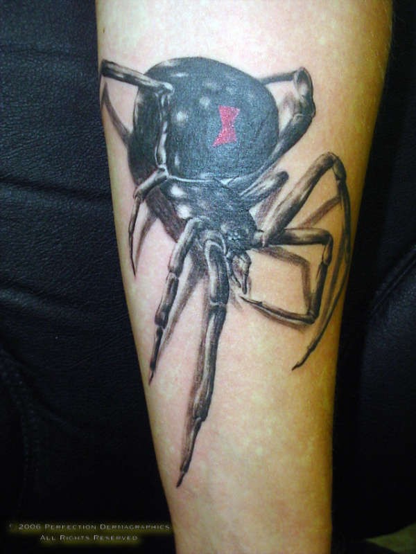 手臂上非常逼真的蜘蛛纹身