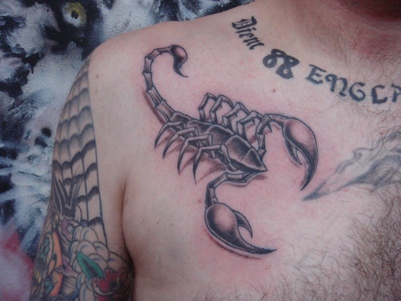 男人胸部时尚的蝎子纹身