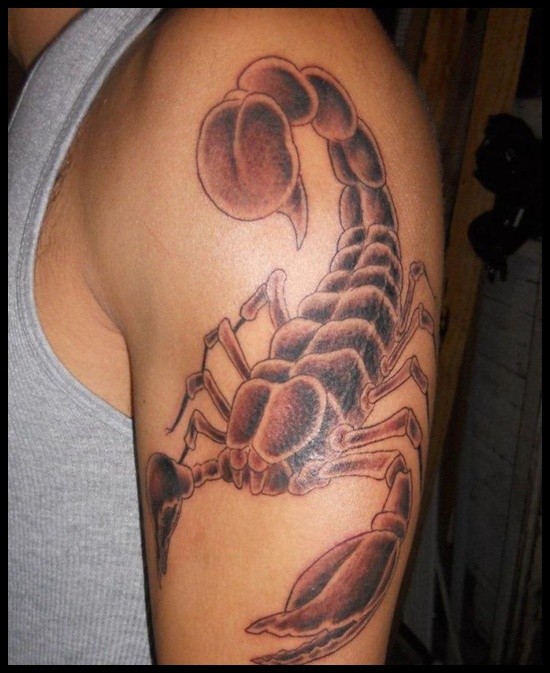 手臂上一只帅气的蝎子纹身