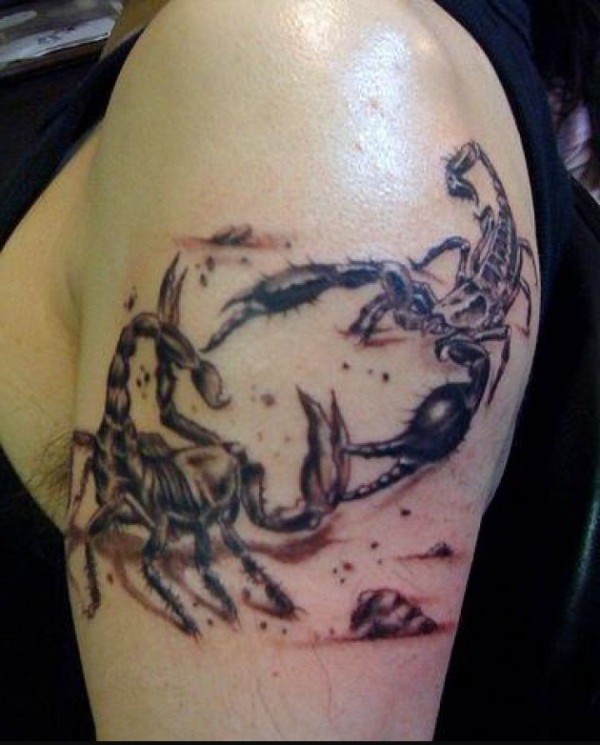 手臂上一只帅气的蝎子纹身