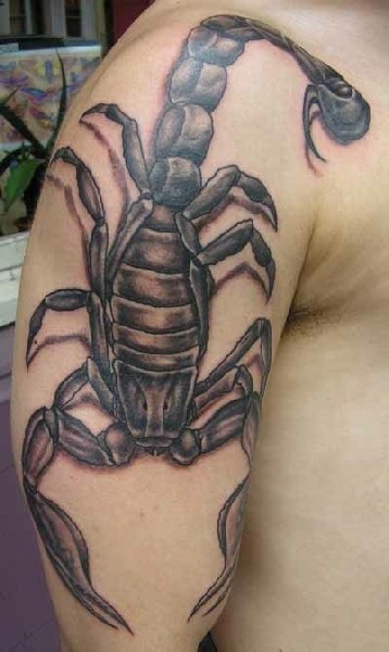 个性十足的手臂蝎子纹身