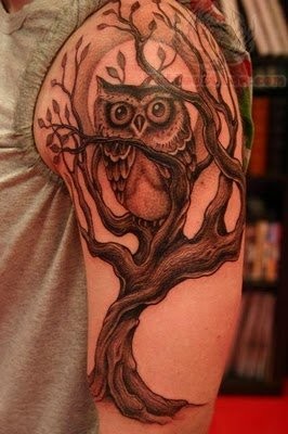 手臂上一款猫头鹰和树枝纹身
