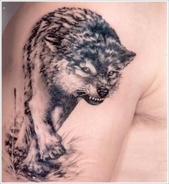 手臂帅气的狼纹身