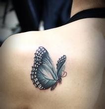 女性肩部一只诱人的蝴蝶刺青