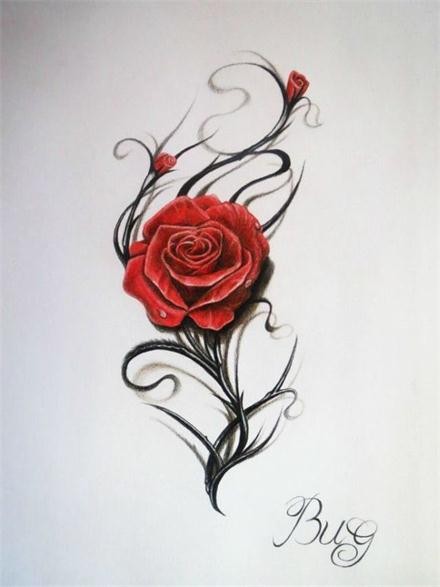 漂亮唯美的玫瑰手稿