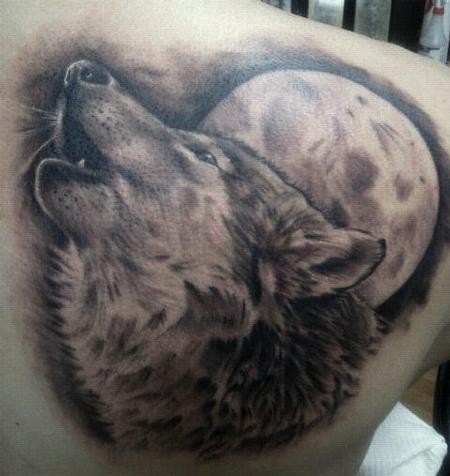 喜欢狼头纹身的来看看，一组超级霸气的狼头纹身