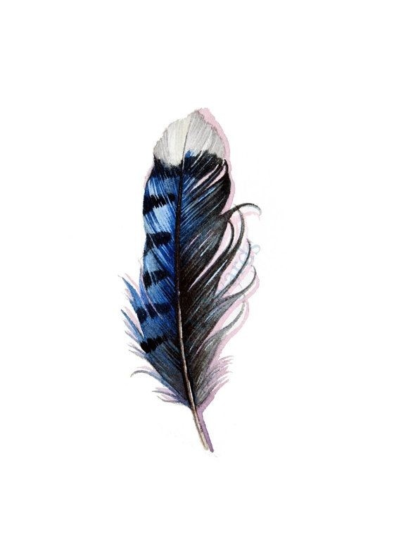 时尚漂亮的彩色羽毛纹身手稿