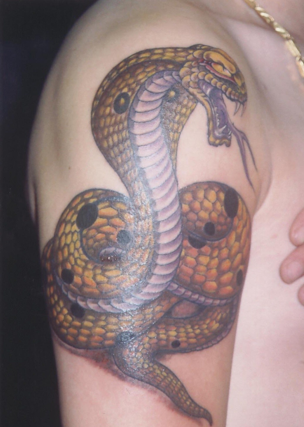 大臂上帅气的蛇纹身