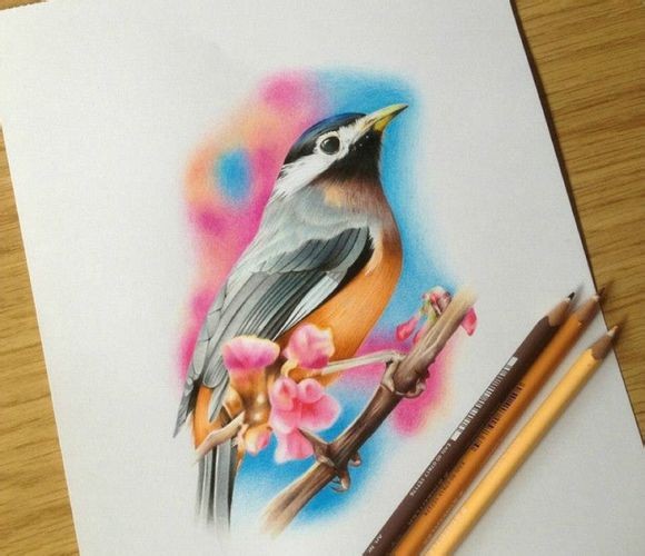 欧美风格 Callam godley 手稿