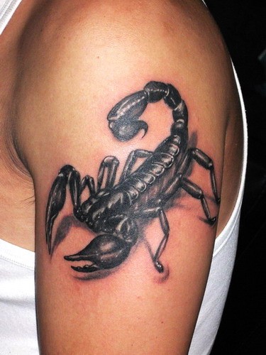 手臂个性逼真的蝎子纹身