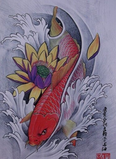 漂亮时尚的红鲤鱼纹身手稿