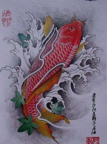 漂亮时尚的红鲤鱼纹身手稿
