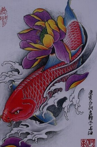 漂亮时尚的红鲤鱼纹身手稿