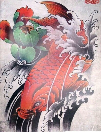 漂亮时尚的红鲤鱼纹身手稿