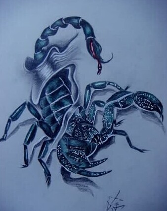 时尚帅气的蝎子纹身手稿
