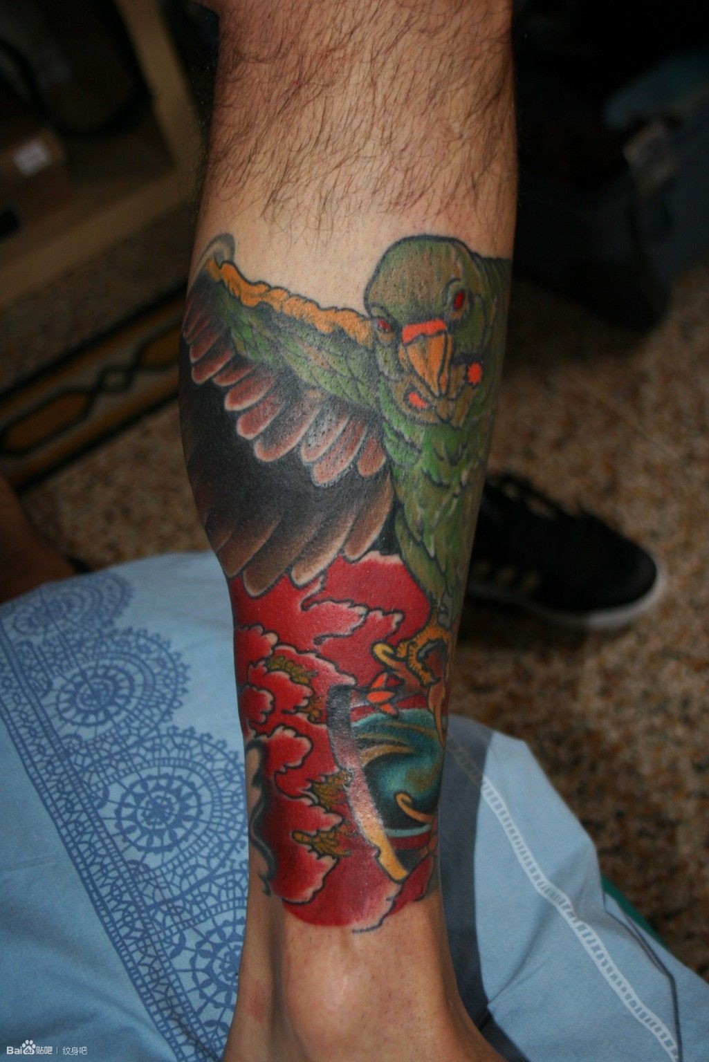 意大利纹身师 Daniele Trabucco 的包小腿纹身作品