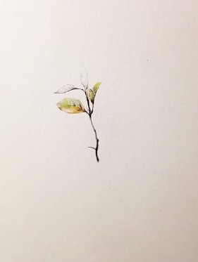 漂亮小巧的小清新纹身手稿