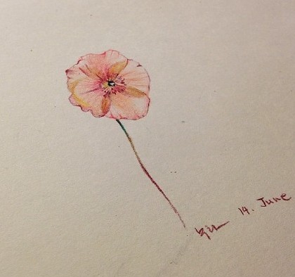 漂亮小巧的小清新纹身手稿