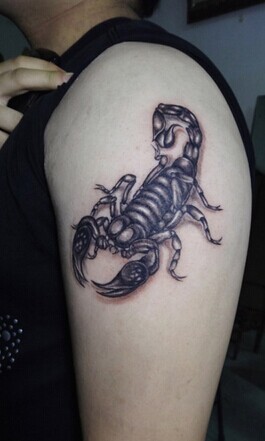 胳膊上个性的蝎子纹身