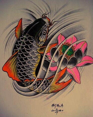 非常漂亮的鲤鱼纹身手稿