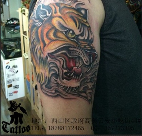 手臂上的老虎经典纹身