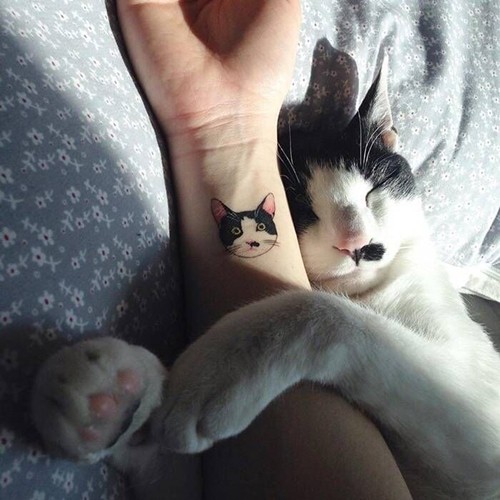 可爱小清新的猫咪图案纹身